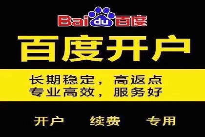 百度竞价与移动端广告：某品牌成功案例解析